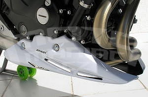 Ermax kryt motoru - Kawasaki ER-6n 2009-2011 - 1