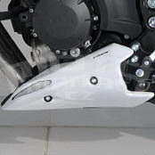 Ermax kryt motoru - Yamaha XJ6 2013-2016, 2013/2014 white (BWC1)