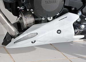 Ermax kryt motoru - Yamaha XJ6 2013-2016 - 1