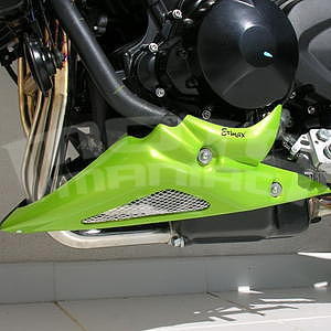Ermax kryt motoru - Triumph Street Triple 2007-2011, 2008 pearl green (roulette green)