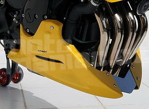 Ermax kryt motoru - Yamaha FZ6/Fazer/S2 2004-2011 - 1