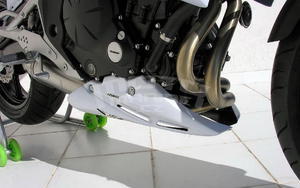 Ermax kryt motoru - Kawasaki ER-6n 2009-2011, 2011 green satin (metallic flat sage green) - 2