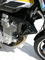 Ermax kryty chladiče - Yamaha XJR1300 1999-2016 - 2/6