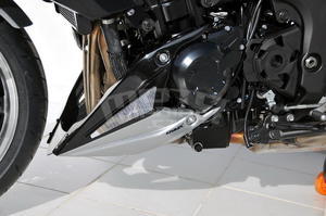 Ermax kryt motoru - Kawasaki Z1000 2010-2013 - 3
