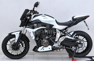 Ermax kryt motoru Yamaha MT-07 2014-2015, 3-dílný, r.v. 2015 matt white/satin black (for race blue) - 4