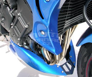 Ermax kryt motoru - Yamaha FZ1N/Fazer 2006-2015 - 4