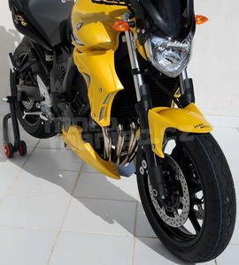Ermax kryt motoru - Yamaha FZ6/Fazer/S2 2004-2011 - 4