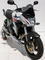 Ermax kryty chladiče dvoubarevné - Honda CB600F Hornet 2007-2010, 2007/2009 silver carbon look - 5/7